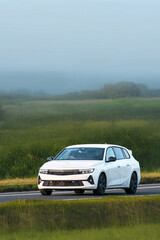 Fototapeta premium Car on a paved road in nature