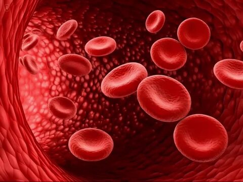 Red Blood Cells Flowing Through Blood Vessel &ndash; Medical 3D Video Illustration