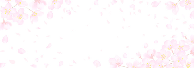 白地に繊細な桜の花のベクターイラスト