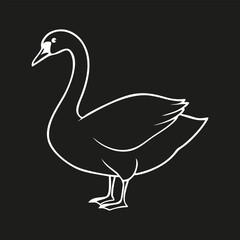 Fototapeta premium Minimal line art icon of a elegant swan vector illustration in clean outline style. Full-body lake bird standing in side view, white artwork isolated on black background.