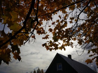 house in autumn