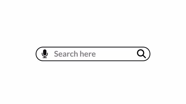 search bar Animation with alpha channel, browsing search bar button animation on transparent background, Search bar animated with magnify glass icon,Web search bar icon animation.