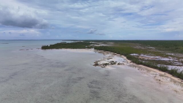 Aerial view of shallow turquoise waters meet dense green vegetation along the coastline under a cloudy sky, Eleuthera, Bahamas.