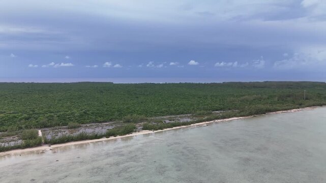 Aerial view of a serene shoreline meeting lush green trees under a cloudy sky, showcasing nature's tranquil blend of land and sea, Eleuthera, Bahamas.