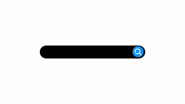 search bar Animation with alpha channel, browsing search bar button animation on transparent background, Search bar animated with magnify glass icon,Web search bar icon animation.