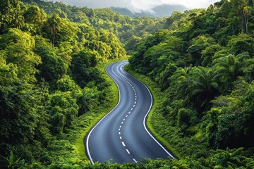 Fototapeta premium Winding road through green forest under bright sky in a tropical setting