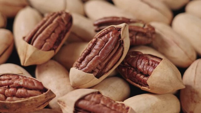 close up of pecan nuts food