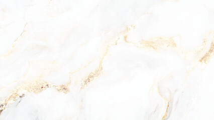 Fototapeta premium elegant white marble texture vector illustration, High-resolution white Carrara marble stone texture. Luxurious white Carrara statuaries marble texture background.