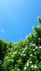 Fototapeta premium Lush greenery sprawls across a bright blue sky, filled with fluttering white flowers, greenery, landscape