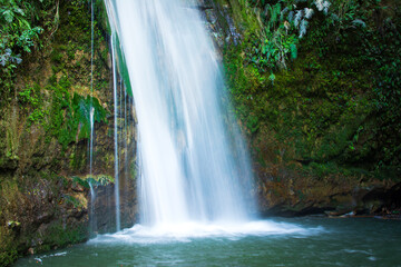 Obraz premium A classic waterfall Te Ana Falls in the heart of Tangoio Forest. Hawke's Bay, New Zealand