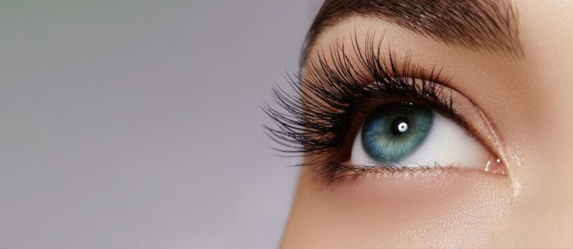 Beautiful macro of female eye with extreme long eyelashes and black liner makeup. Perfect shape make-up and long lashes. Cosmetics, Beauty and make-up. Closeup macro photo of fashion eyes visage