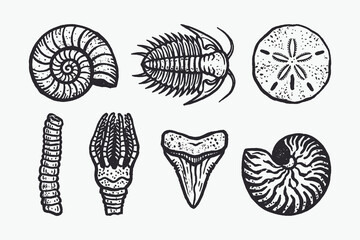 Vintage Hand-Drawn Collection of Prehistoric Fossils and Ancient Marine Relics © Ghaghah24