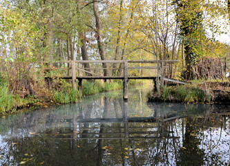 Herbstliche Kahnfahrt im Spreewald L&uuml;bbenau