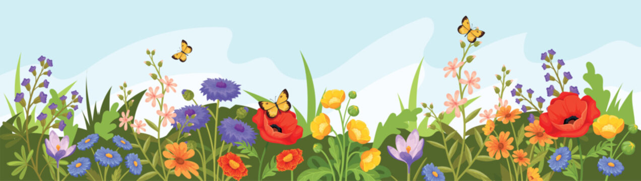 Wildflowers grass border. Cartoon wildflower field, garden wild flowers green spring meadow plant leaves stem floral panoramic scenery botanical poster, neat vector illustration
