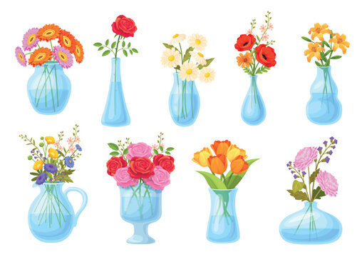 Flowers in glass vases. Cartoon flower bouquet at jar with water, spring wildflowers bunch jug garden daisy gerbera tulip floral collection home decorative neat vector illustration