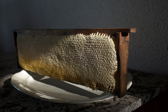 Freshly harvested raw honeycomb close up