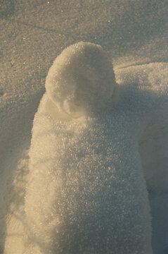 Glistening Snow Angel Impression in Winter Sunlight