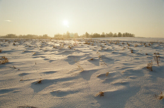 Wide horizontal view of frozen farmland under a winter sky shot on film camera
