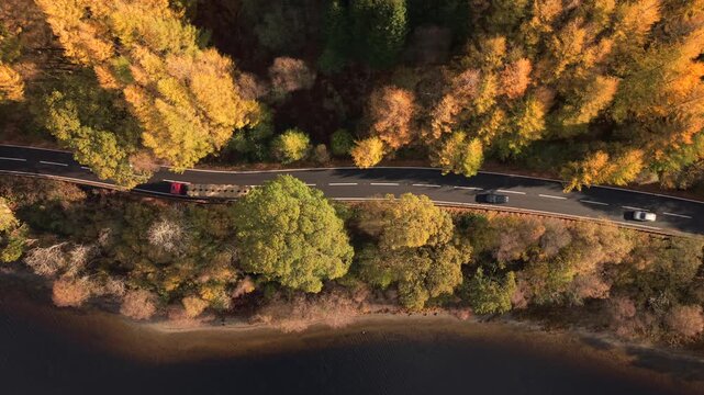 Aerial view of a road cutting through autumn trees and a dark lake, contrasting vibrant foliage with the still water, Callander, Scotland, United Kingdom.