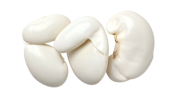 Close-up of glossy, off-white, bean-shaped items, possibly food, arranged on a stark black background. The smooth texture suggests freshness