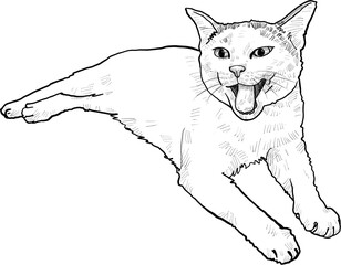 Drawing animal hand drawn black cat yawn pet sketch vintage style line art relaxed pose emotional charm