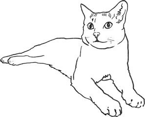 Hand drawn animal drawing cat outline simple black line art relaxed pose