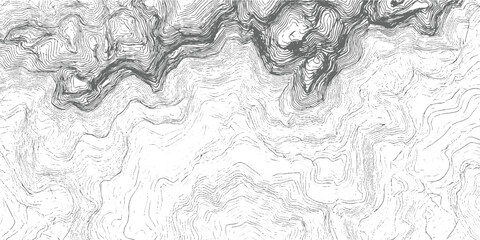 Detailed topographic contour map lines showing mountainous terrain and valleys in grayscale topography 1