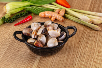 Raw fresh wild clams mollusc © Andrei Starostin