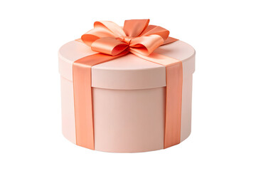 Isolated Gift Box with Coral Ribbon and Bow on Pale Pink Container &ndash; Elegant Present PNG