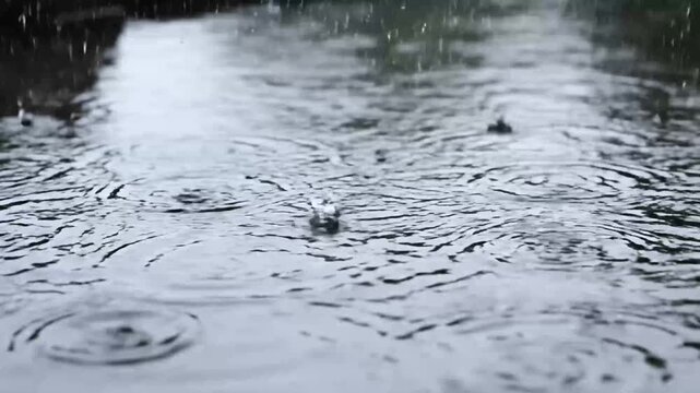 Rainfall creates ripples in water