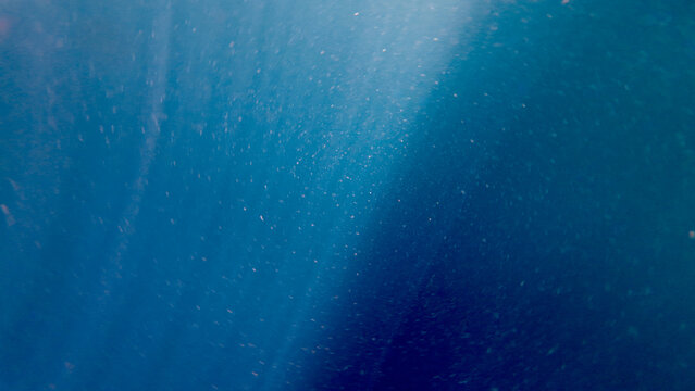 Sun rays penetrate the deep blue ocean water. Soft light beams illuminate suspended particles, creating an abstract underwater background with calm atmospheric depth.