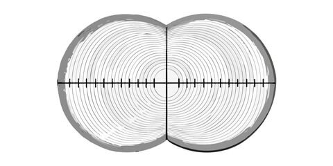 Cross section of a tree trunk with visible growth rings and a central target © Sourav