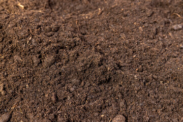 fertile soil mixed with various ingredients for growing seedlings and indoor plants, minerals and vitamins, humus and peat are added to the soil to improve growth and yield, close up