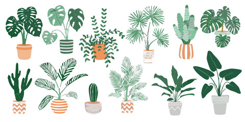 A collection of various potted houseplants against a dark background © Roni