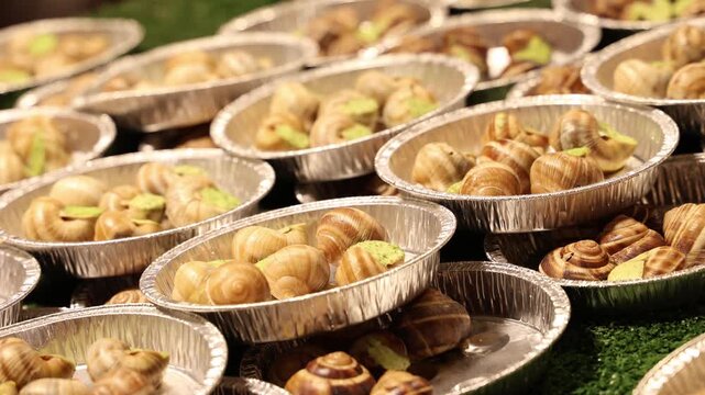 Fresh snails in shells cooked and served on the plates