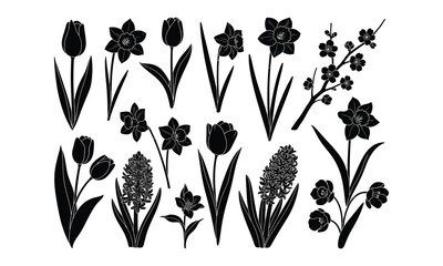 Naklejka premium Collection of various black flowers and plants