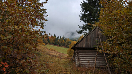 Carpathians. Wooden houses in a mountain village