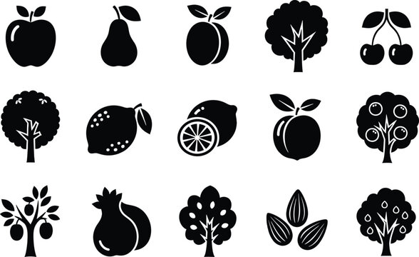 A collection of black silhouette icons representing various fruits, nuts, and fruit trees for design purposes