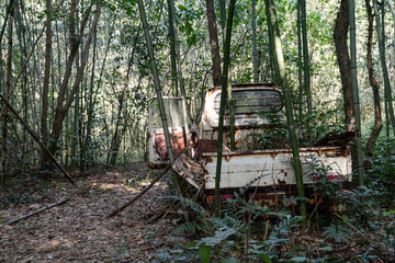 竹林に放置された錆びた軽トラックの廃車風景