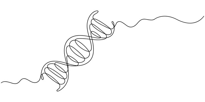 DNA continuous one line drawing. Genome linear structure symbol. Vector illustration isolated on white, DNA in detailed one line drawing. Scientific research concept. Minimalist vector with modern.