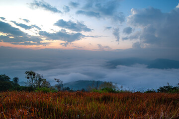 Fototapeta premium The sea of ​​fog in the morning on a high mountain