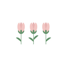 Minimalist composition of three pink spring flowers in a row. Simple botanical illustration for modern greeting card design.