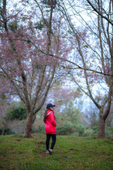 A woman in a pink dress stands in the middle of a forest with cherry blossom trees.