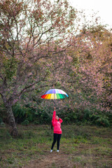 A woman in a pink dress stands holding a multicolored umbrella in the middle of a forest filled with cherry blossom trees.