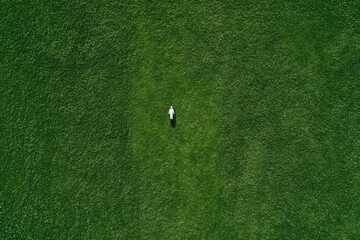 Obraz premium Top-down aerial view of a clean green grass field with a people icon