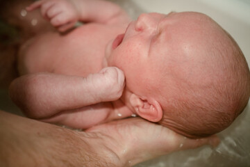 A tender moment of a newborn bath, supported by a parents hand, emphasizing safety, gentleness, and the loving care that defines early parenting experiences.