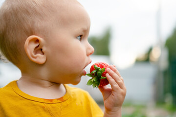 side profile captures a baby as they tentatively taste strawberry, possibly for the first time. new...