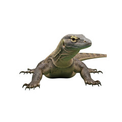 Naklejka premium Komodo Dragon Isolated on Transparent Background