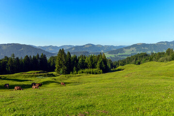 Schetteregg-Amagmach in der Gemeinde Egg im Bregenzerwald in Vorarlberg © Ilhan Balta
