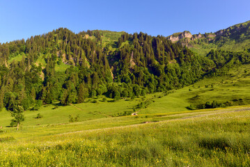 Das Bregenzerwaldgebirge in der Gemeinde Egg  in Vorarlberg